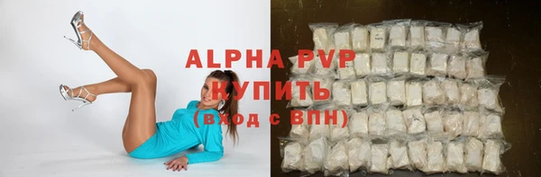 прущие грибы Бронницы