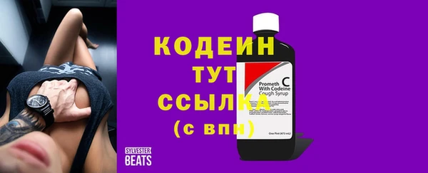 МДПВ Нязепетровск
