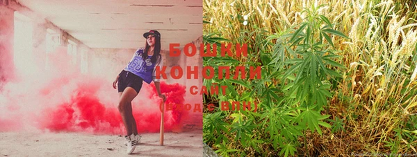 тгк Гатчина