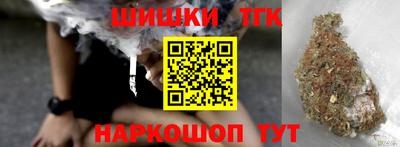 МДПВ Гатчина
