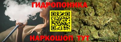 МДПВ Гатчина
