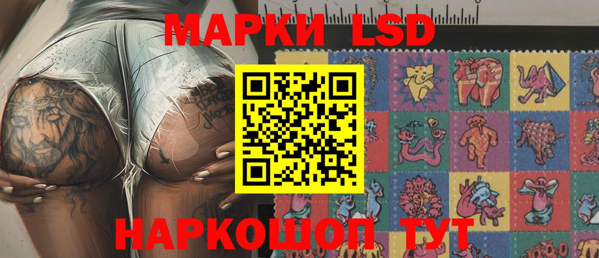 как найти   Наркотические марки  Полевской  Вход с VPN  Наркотические марки 1,8мг  Наркотические марки 1,8мг 
