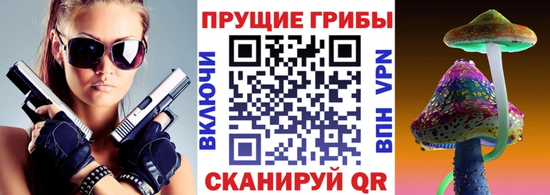 площадка как зайти Полевской Галлюциногенные грибы мицелий