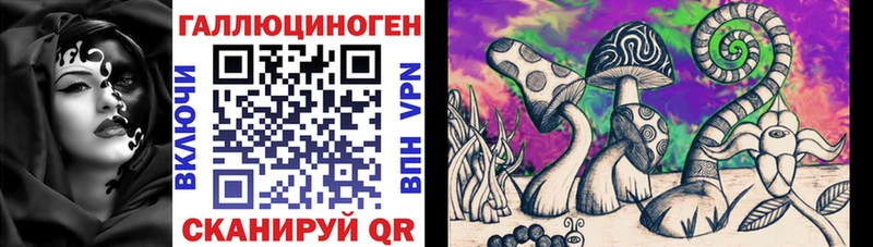 Псилоцибиновые грибы Cubensis Полевской