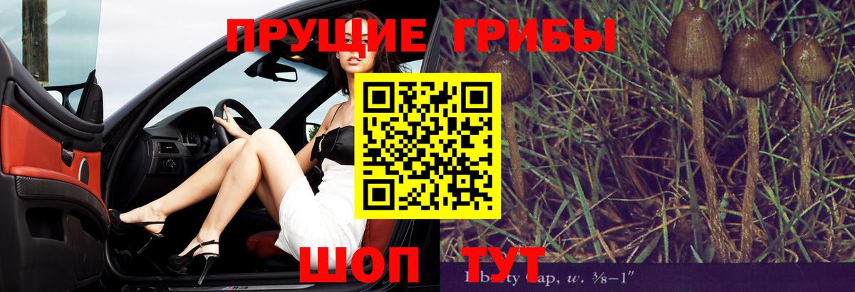 Галлюциногенные грибы Cubensis  Полевской 